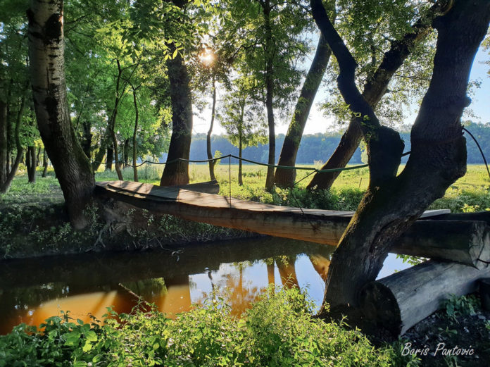 Obedska bara i Vinča