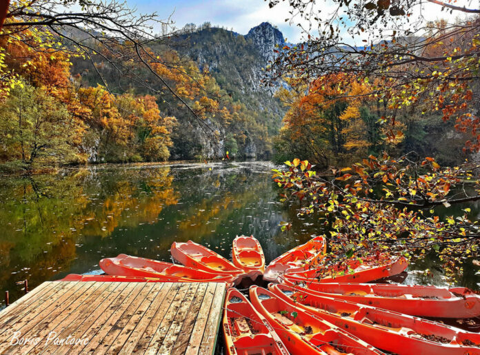Užice