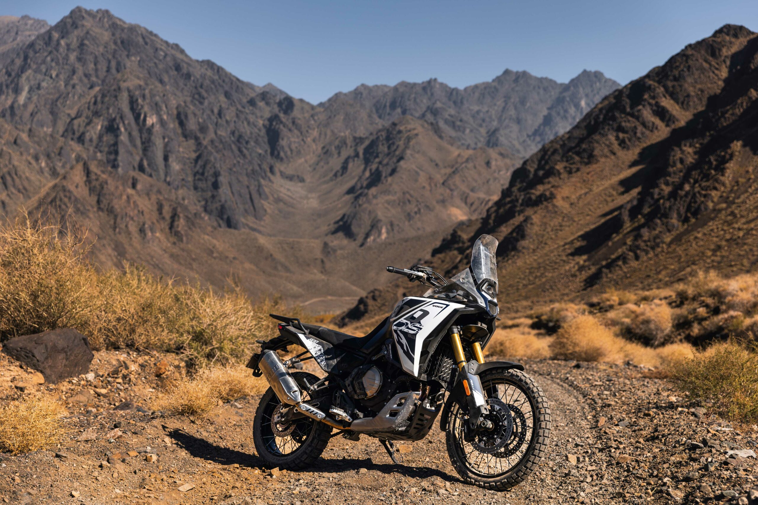 VOGE-Rally800-12-scaled.jpg