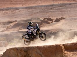 Voge 800 Rally