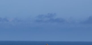 MotoGP Phillip Island