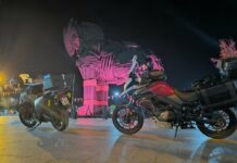 2 kuma na 2 Stroma u Zemlji lijepih konja